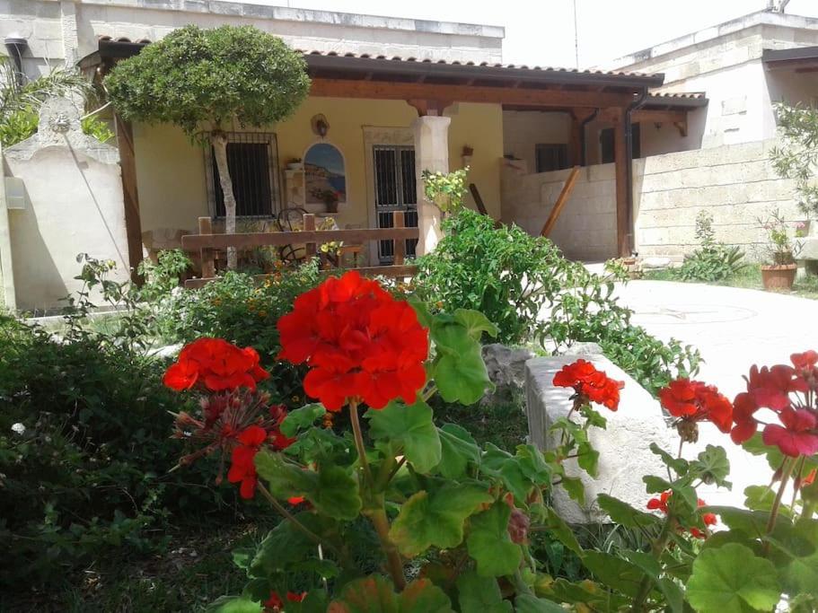 Villino Oasi Del Salento A Due Passi Dal Mare Salentomare Torre Dell'Orso Villa Melendugno Luaran gambar